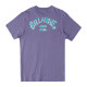 Billabong Ανδρική κοντομάνικη μπλούζα Arch Fill T-Shirt